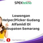 Lowongan Helper/Picker Gudang Alfamidi Di Kabupaten Semarang