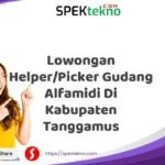 Lowongan Helper/Picker Gudang Alfamidi Di Kabupaten Tanggamus
