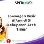 Lowongan Kasir Alfamidi Di Kabupaten Aceh Timur