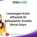 Lowongan Kasir Alfamidi Di Kabupaten Sumba Barat Daya