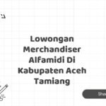 Lowongan Merchandiser Alfamidi Di Kabupaten Aceh Tamiang
