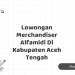 Lowongan Merchandiser Alfamidi Di Kabupaten Aceh Tengah
