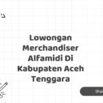 Lowongan Merchandiser Alfamidi Di Kabupaten Aceh Tenggara
