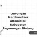 Lowongan Merchandiser Alfamidi Di Kabupaten Pegunungan Bintang