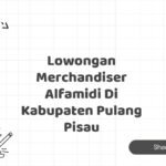 Lowongan Merchandiser Alfamidi Di Kabupaten Pulang Pisau