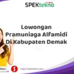 Lowongan Pramuniaga Alfamidi Di Kabupaten Demak
