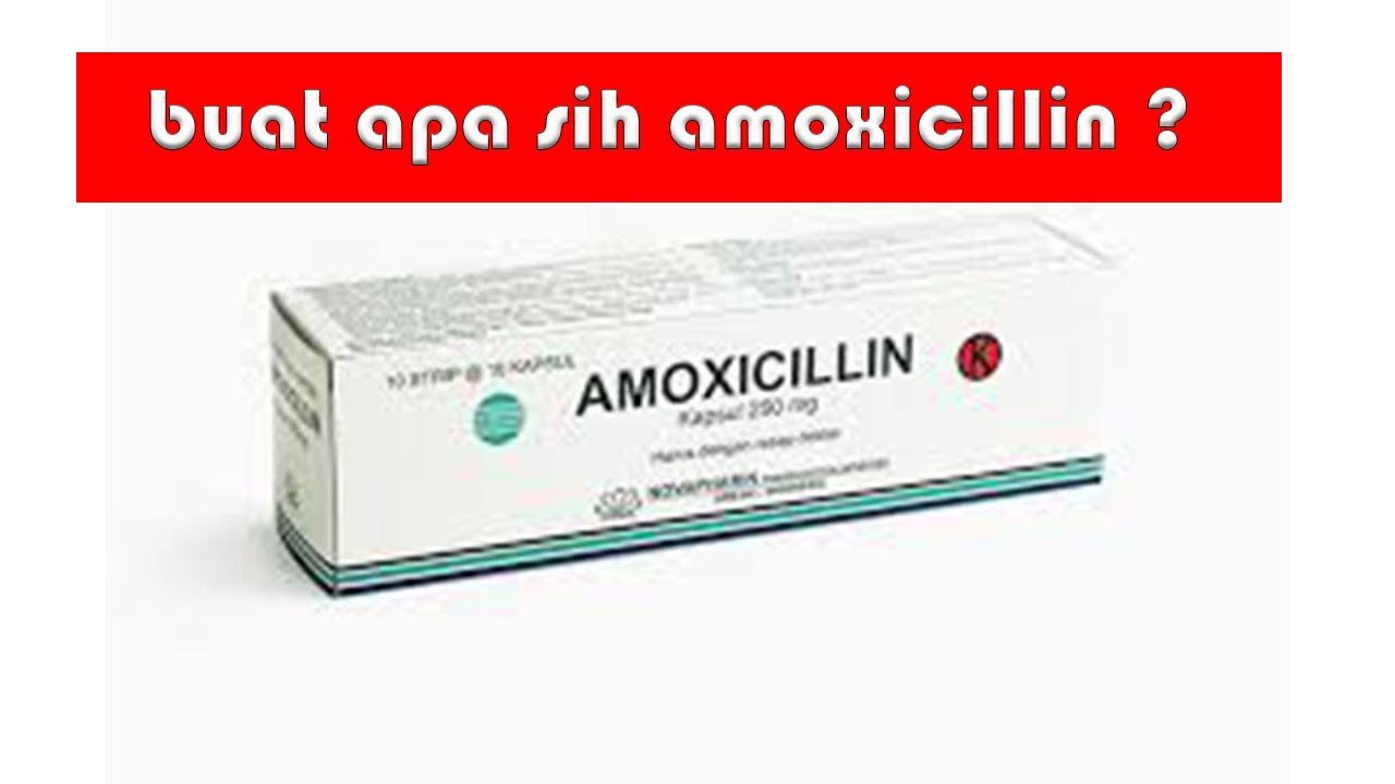 Amoxicillin Manfaat Dosis Efek Samping yang Perlu Anda Tahu