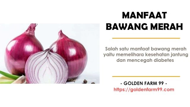 Manfaat Bawang Merah