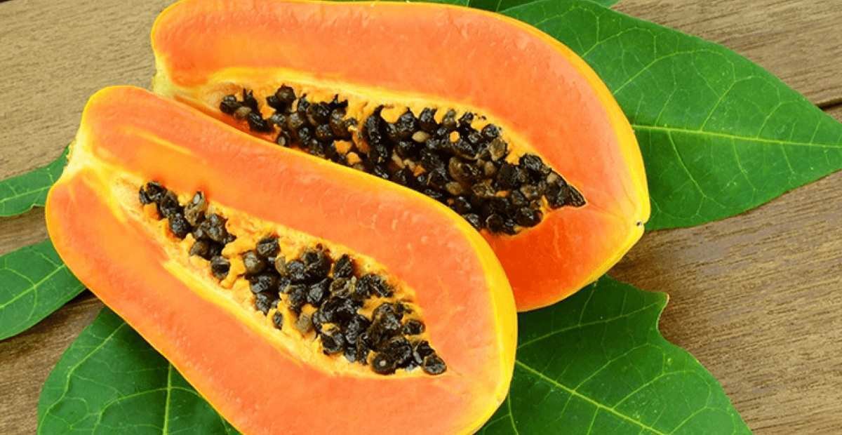 Rahasia Kesehatan Tersembunyi di Balik Buah Pepaya Manfaatnya Bikin Takjub!