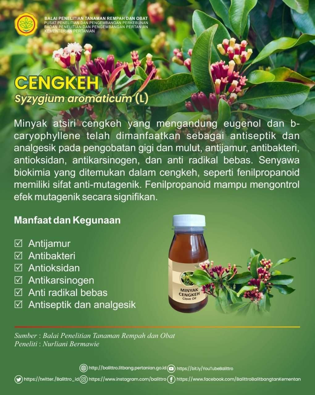 Cengkeh Rahasia Kesehatan Kecantikan yang Tersembunyi!