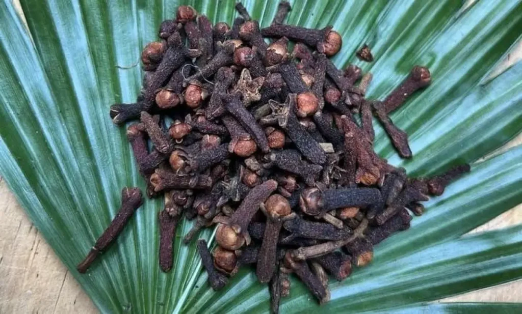 Manfaat Cengkeh Untuk Kesehatan