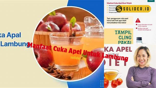 Manfaat Cuka Apel Untuk Lambung
