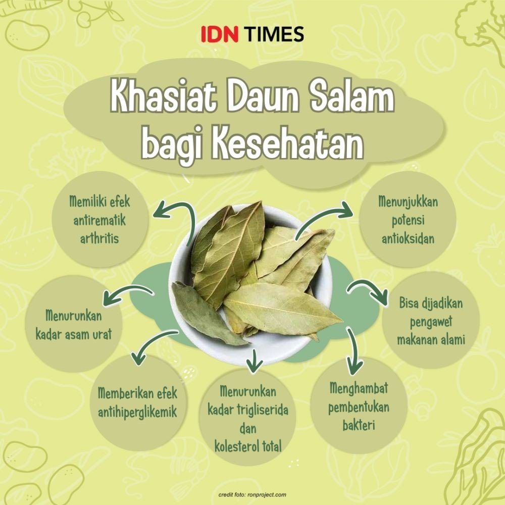 Manfaat Daun Salam Turunkan Kolesterol Gula Darah?