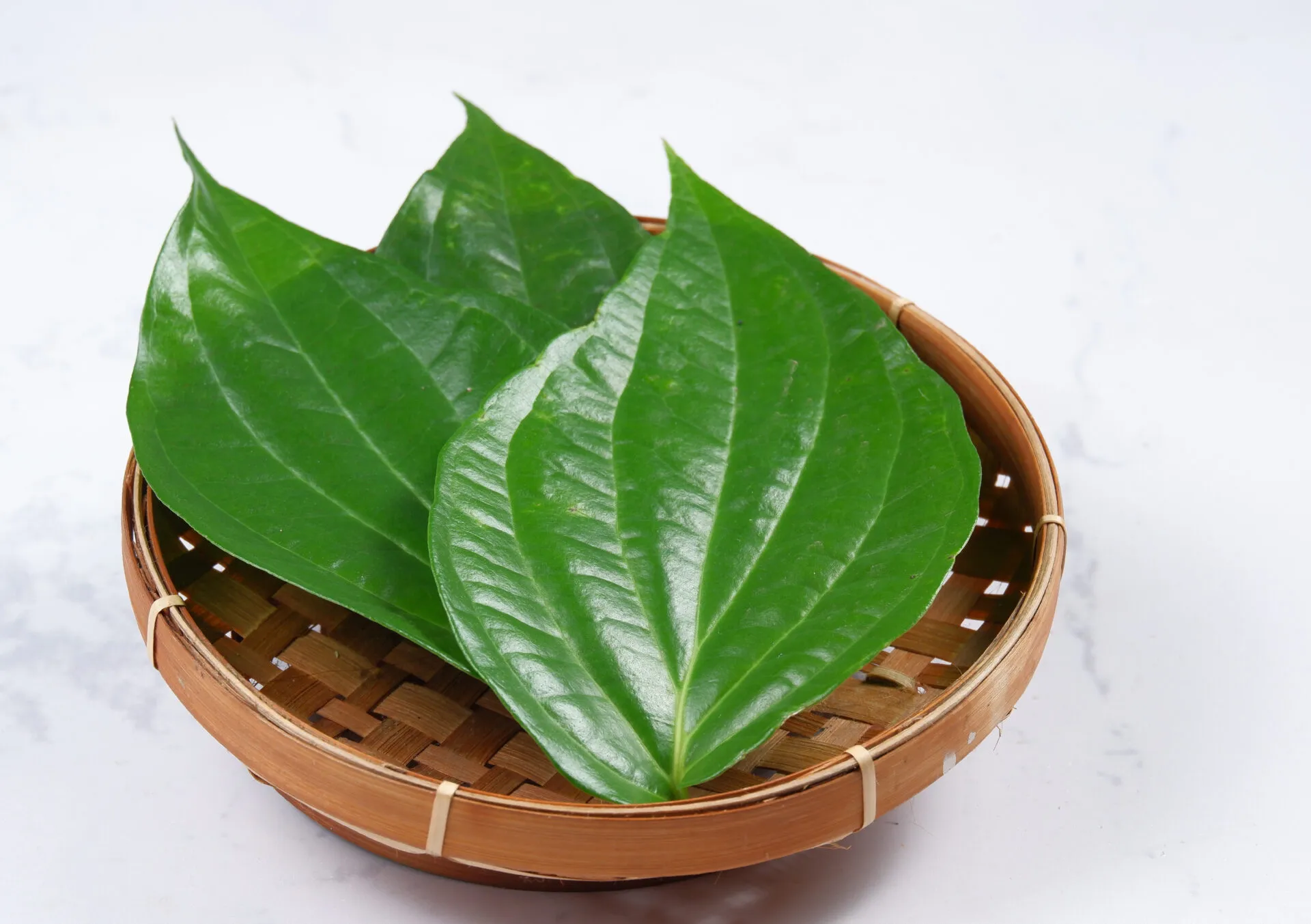 Manfaat Daun Sirih Rahasia Kesehatan Kecantikan Terungkap!