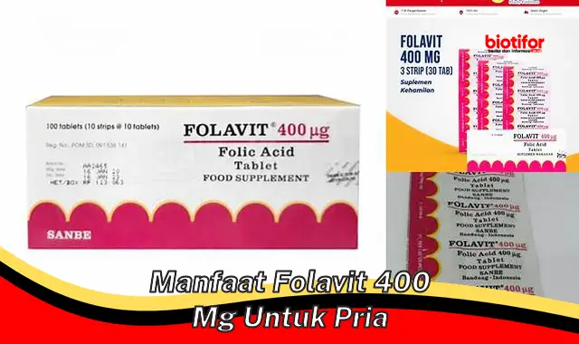 Manfaat Folavit
