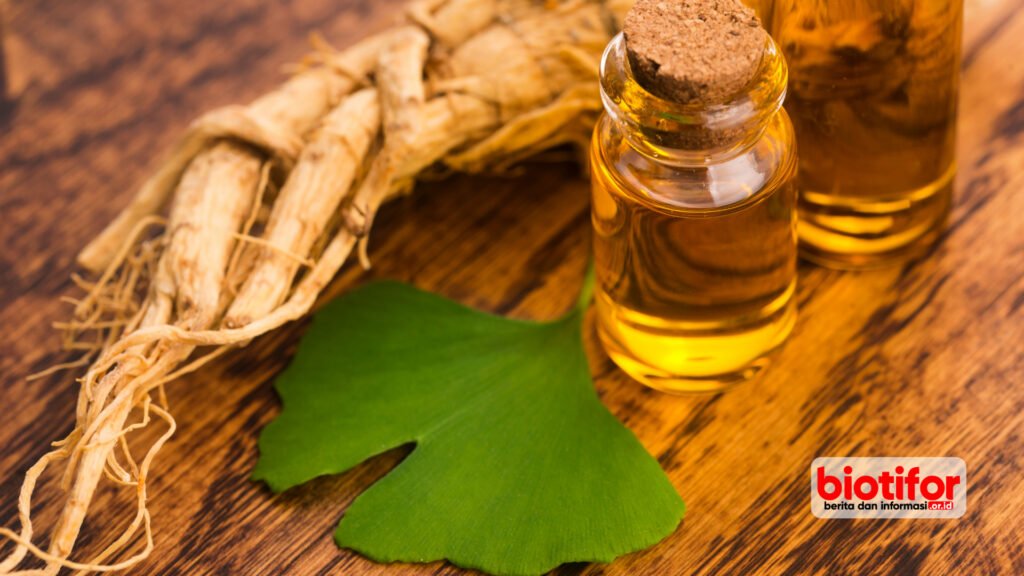 Rahasia Ginseng Boost Energi Kesehatanmu!