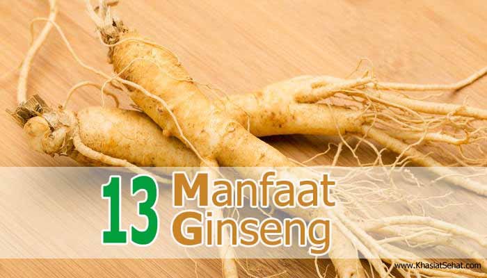 Manfaat Ginseng