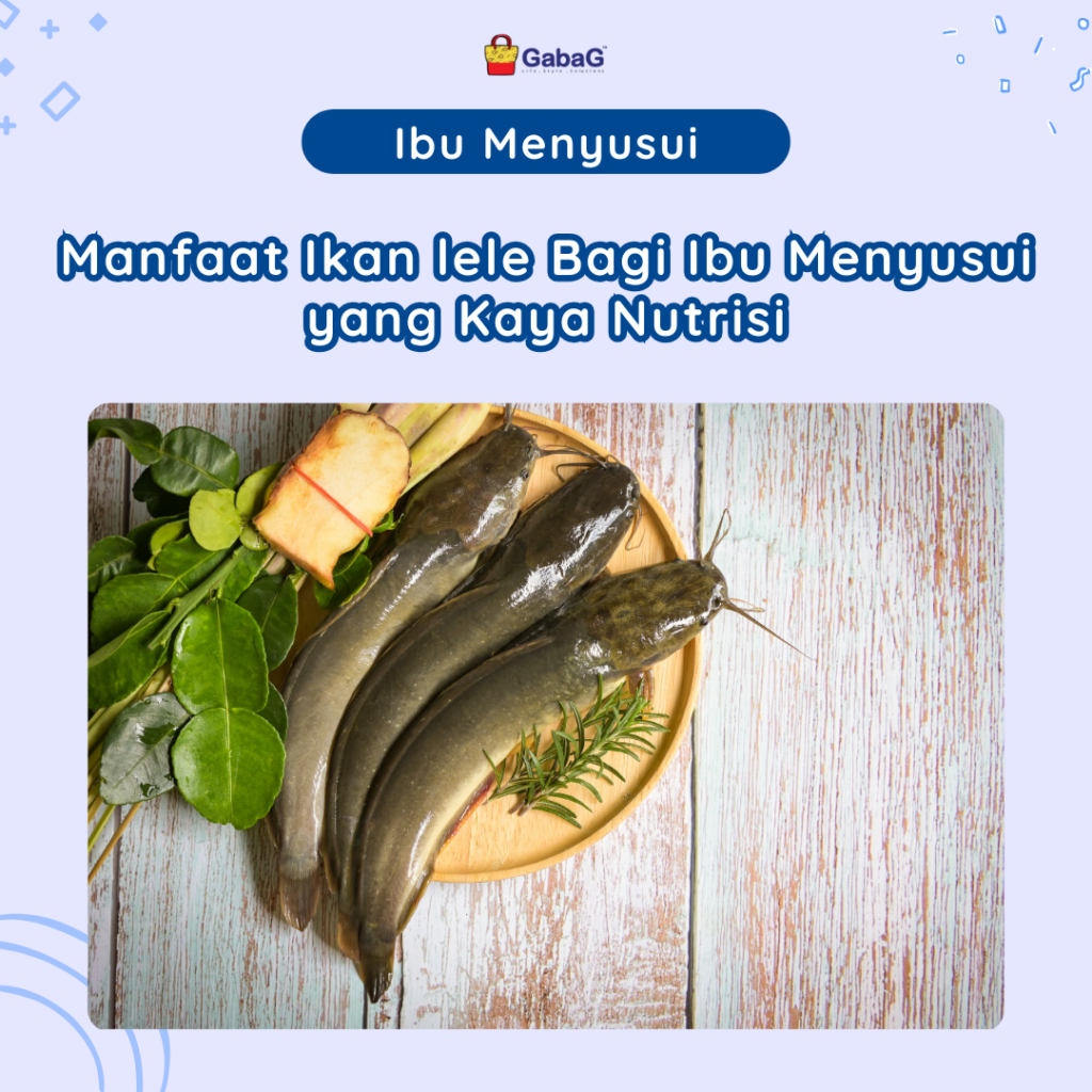 Rahasia Tubuh Sehat Kuat? Manfaat Ikan Lele yang Mengejutkan!