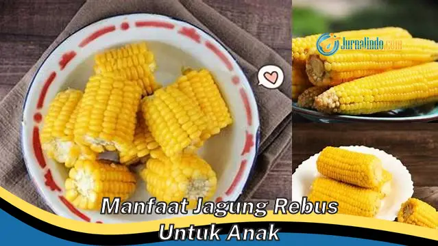 Manfaat Ajaib Jagung Rebus Sehat Kenyang Bikin Langsing?