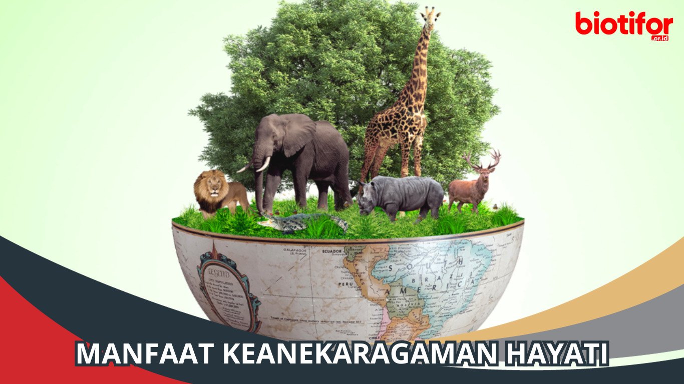 Rahasia Kehidupan Manfaat Ajaib Keanekaragaman Hayati!