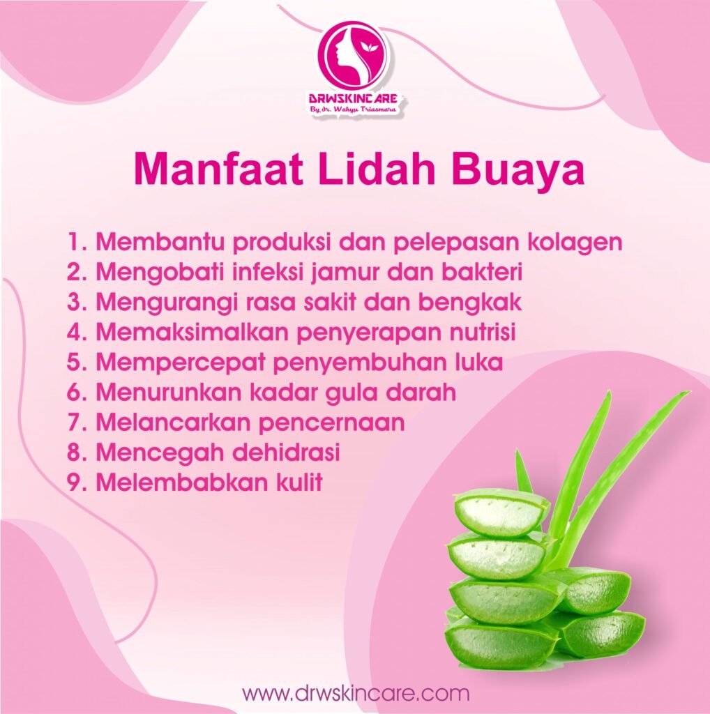 Manfaat Lidah Buaya