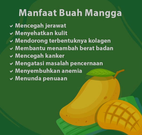 Rahasia Kesehatan Tersembunyi di Balik Mangga Manfaatnya Bikin Takjub!