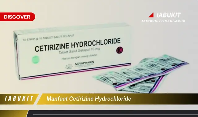 Cetirizine Atasi Alergi Gatal dengan Cepat Aman?