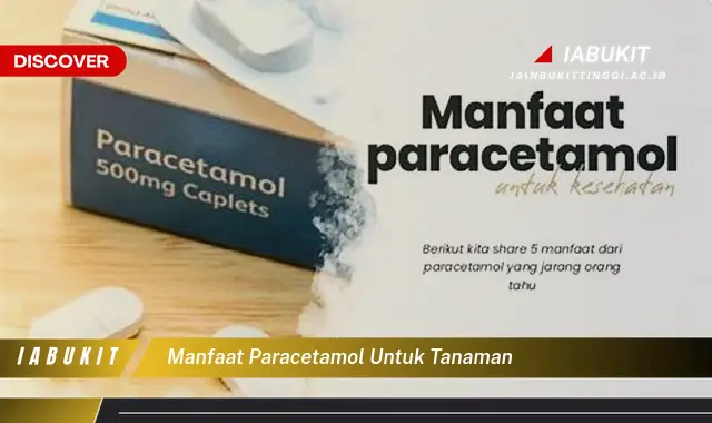 Manfaat Paracetamol