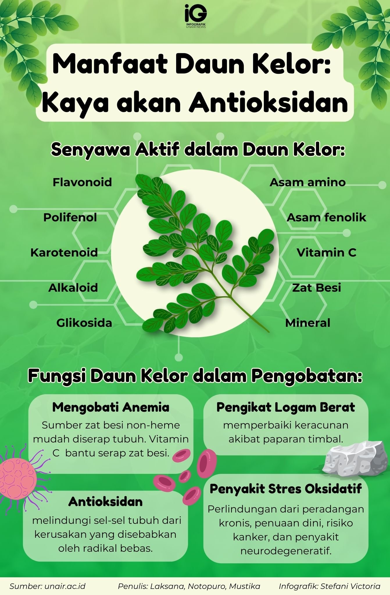Manfaat Dahsyat Rebusan Daun Kelor Kesehatanmu Naik Level!