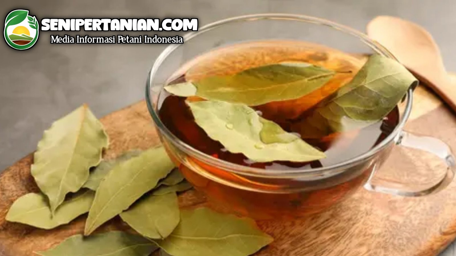 Manfaat Rebusan Daun Salam