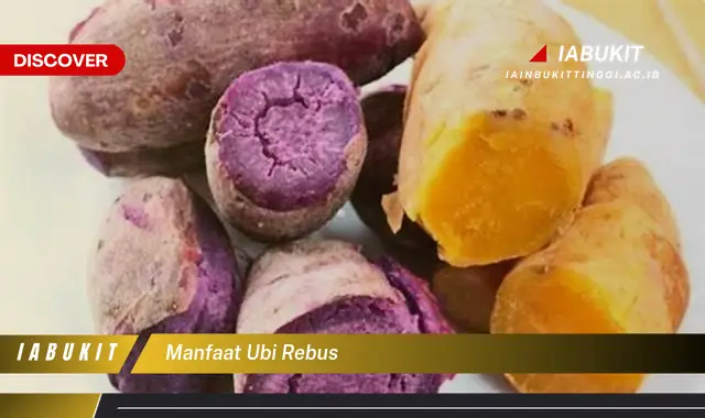 Manfaat Ubi Rebus