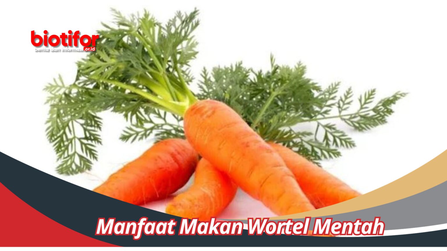 Manfaat Wortel Mentah