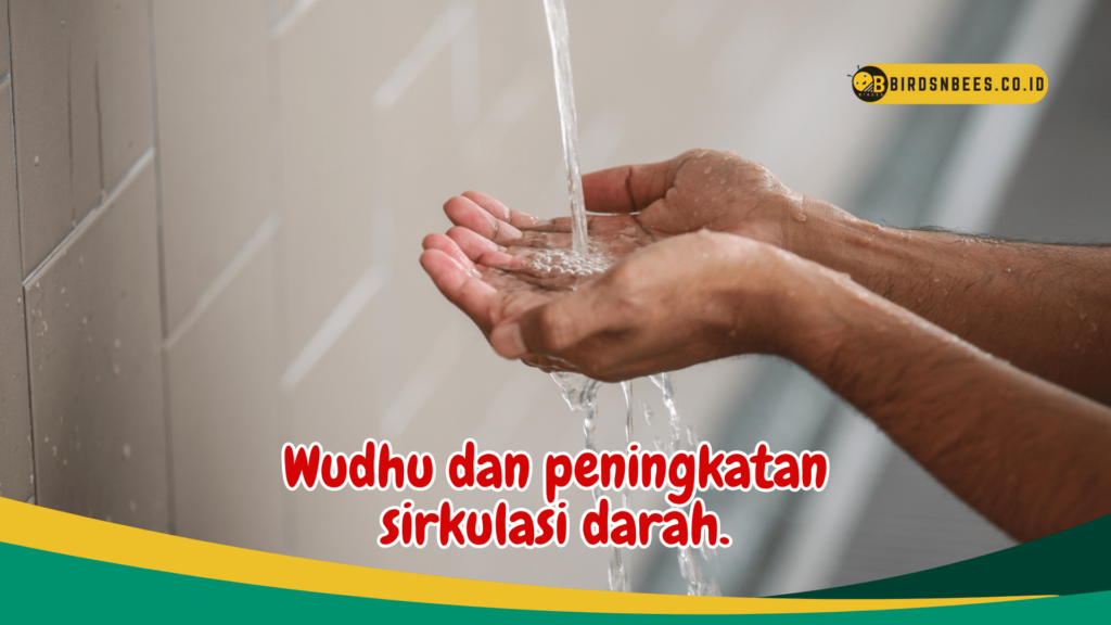 Manfaat Wudhu Sebelum Tidur