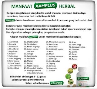 Rahasia Xamplus Tingkatkan Produktivitas Efisiensi Kerja Anda!