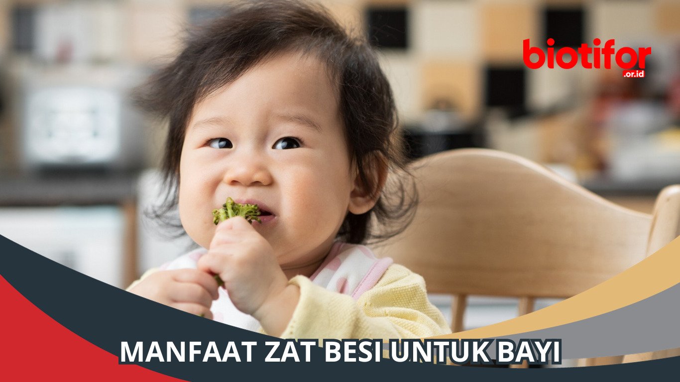 Manfaat Zat Besi Untuk Bayi